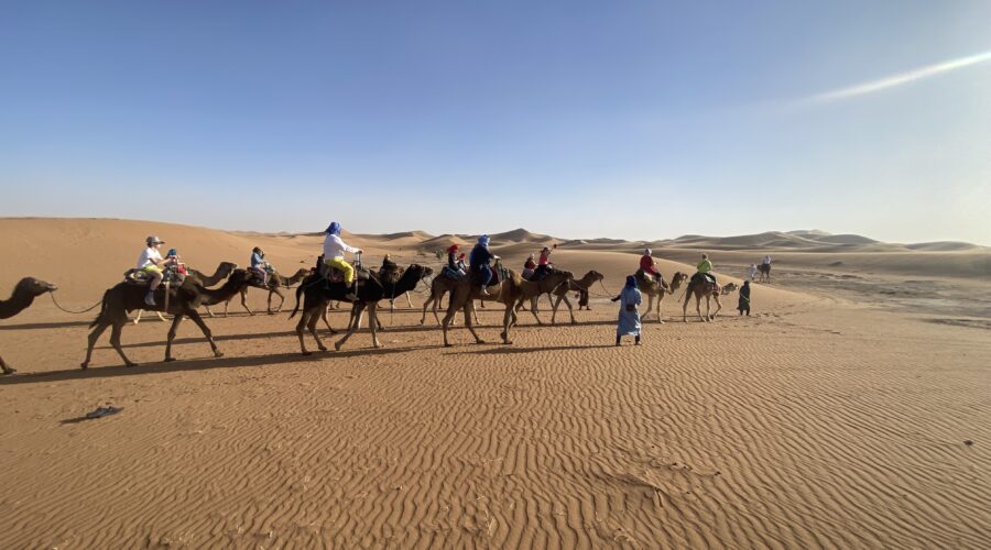 camel ride trekking sahara desert