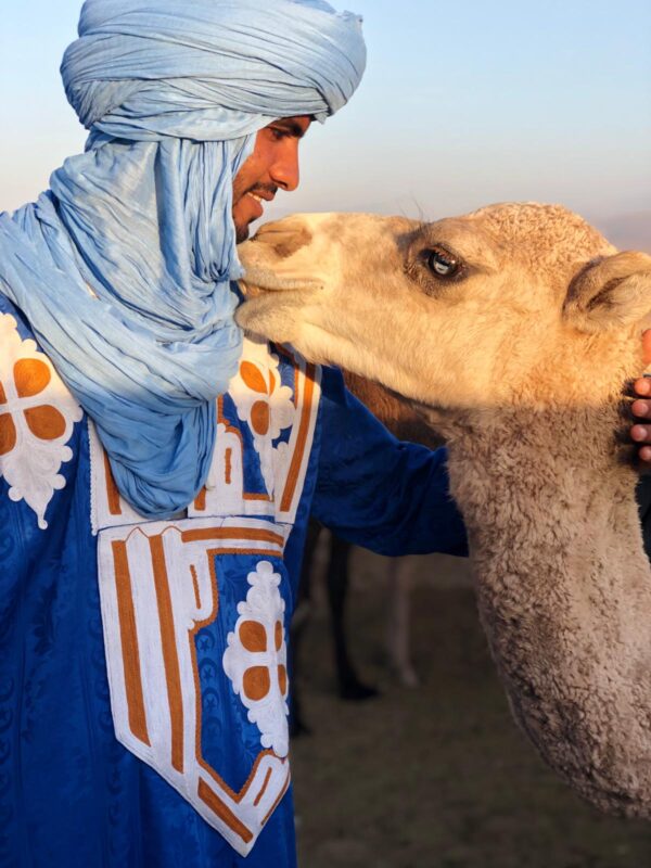 Kameltrekking Cameltrekking