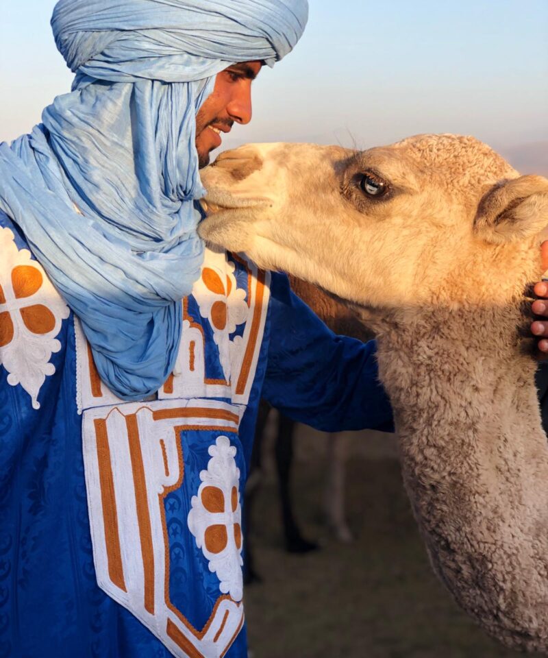 Kameltrekking Cameltrekking